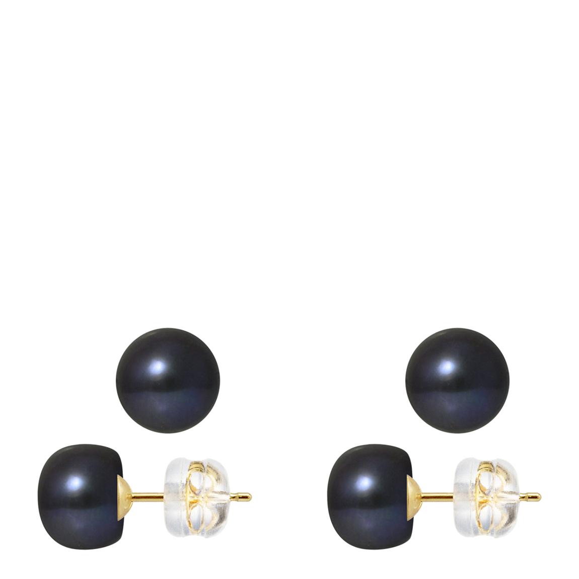 Black Tahiti Yellow Gold Freshwater Pearl Earrings main product photo