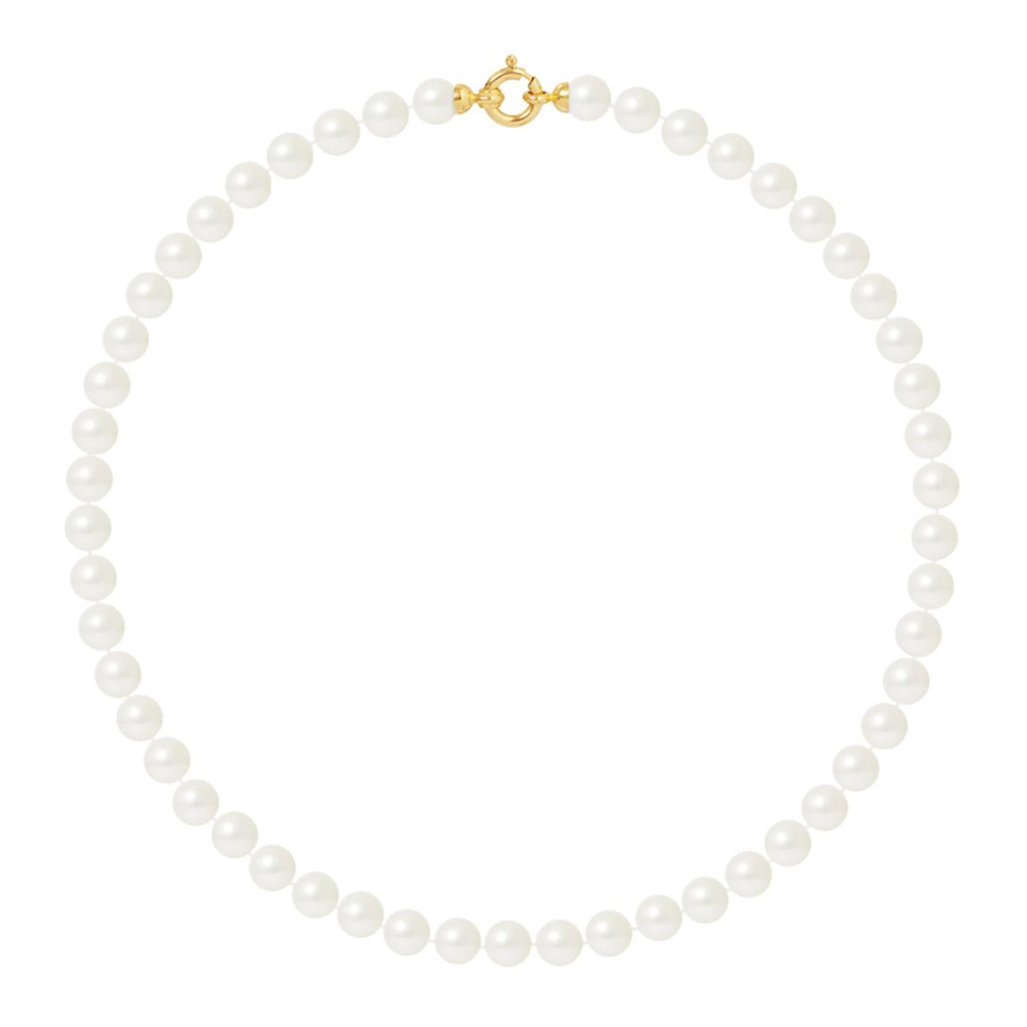 Yellow Gold Freshwater Pearl Necklace main product photo