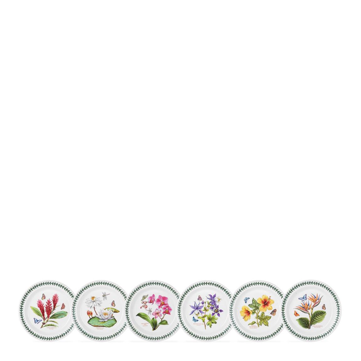Set of 6 Exotic Botanic Garden Plates, 21.5cm main product photo