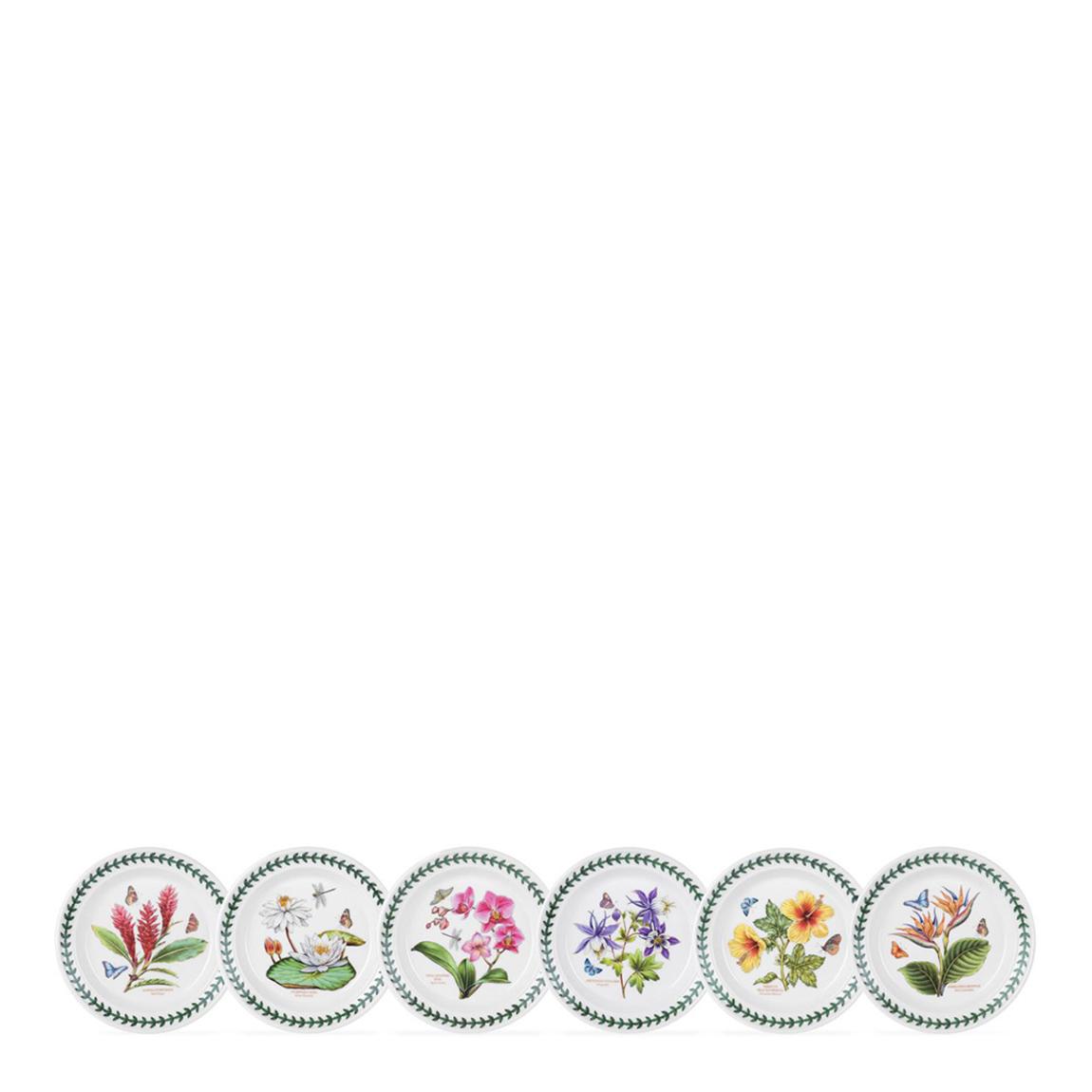 Set of 6 Exotic Botanic Garden Plates, 18.5cm main product photo