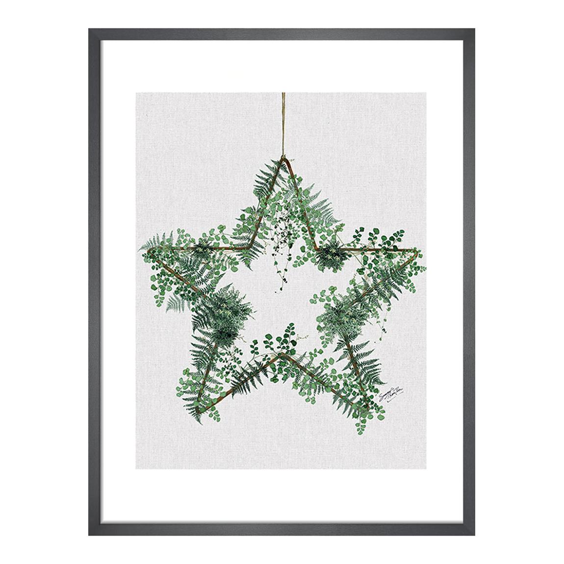 Fern Star 40x50cm Framed Print main product photo