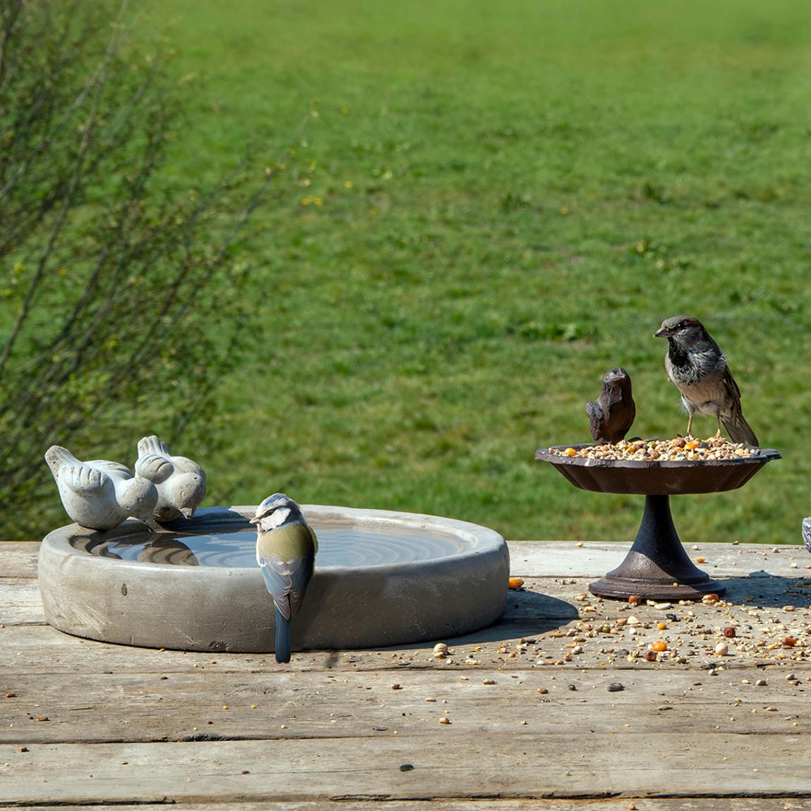 Concrete Bird Bath main product photo