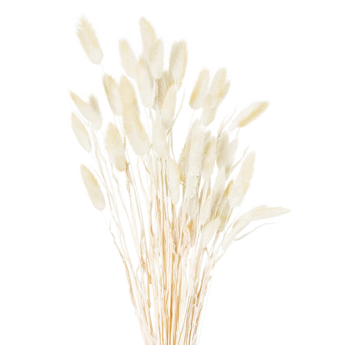 Faux Dried Grey Bunny Tail Flowers Bunch Of 60 main product photo