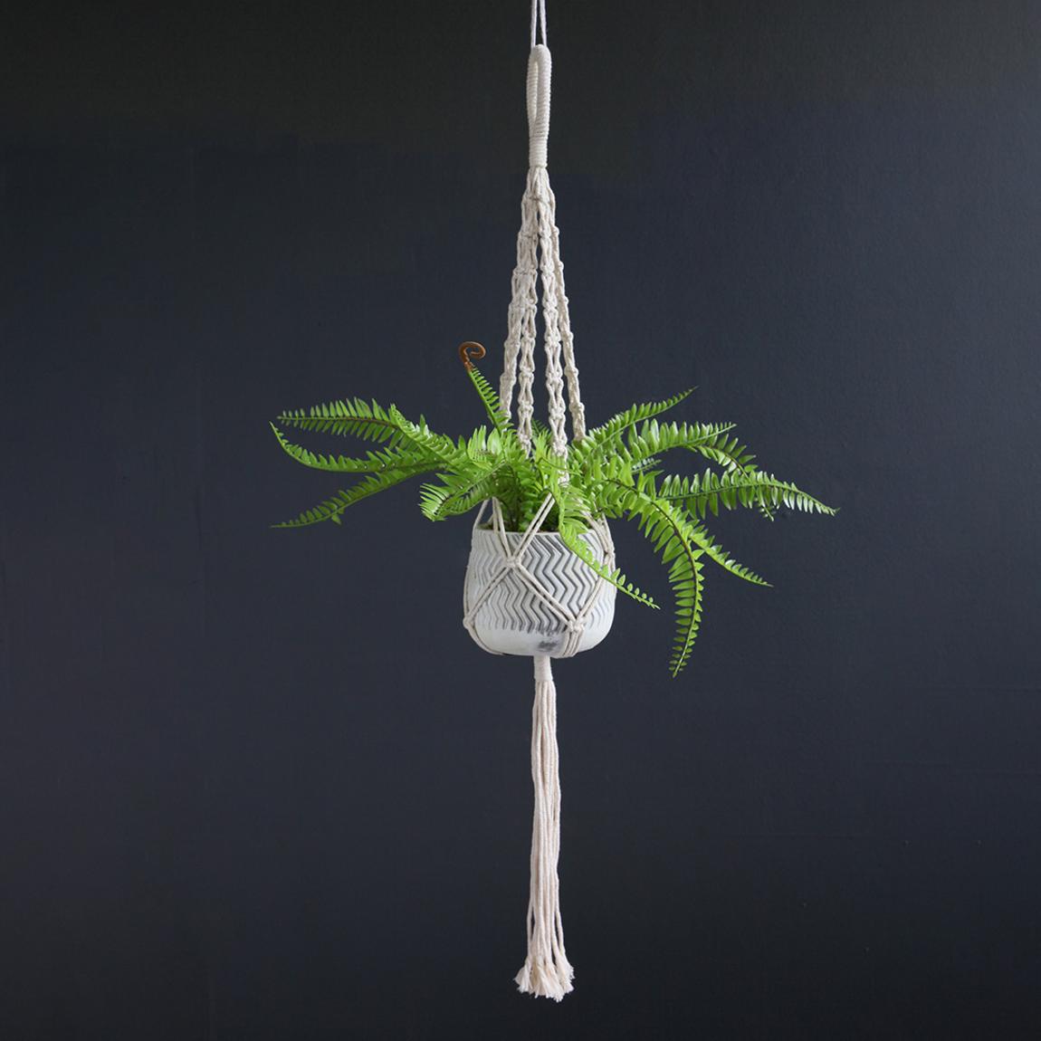 Fern In Hanging Pot main product photo