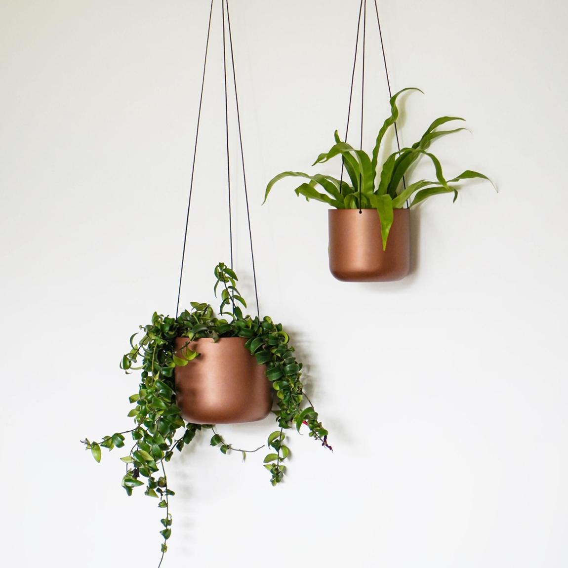 Kew Matt Copper Hanging Planter Large with Hook, 17cm main product photo