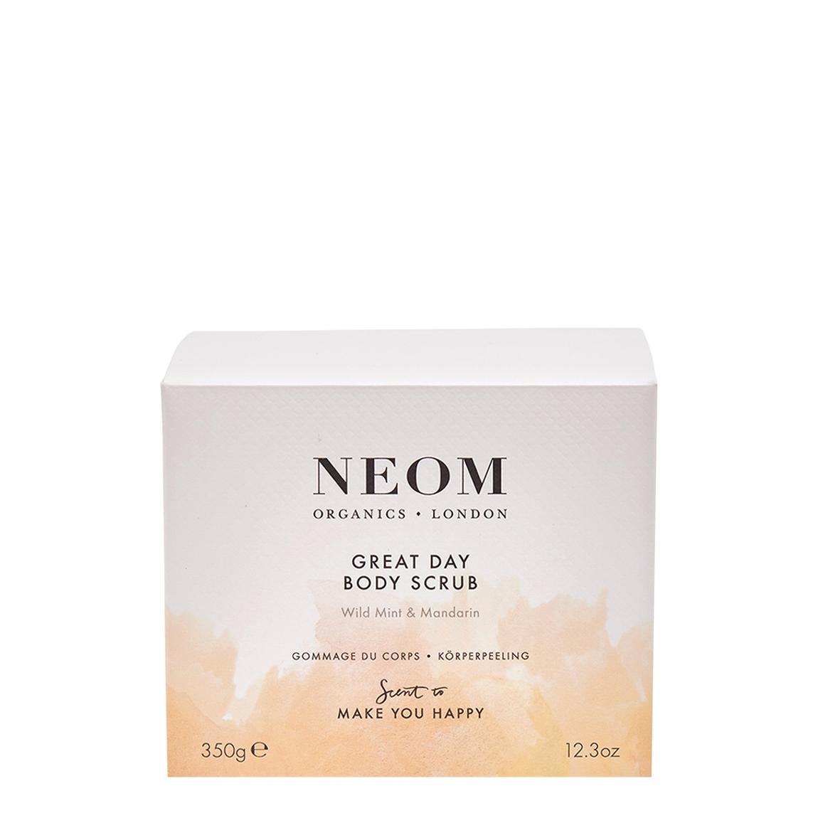 Great Day Body Scrub 350g main product photo
