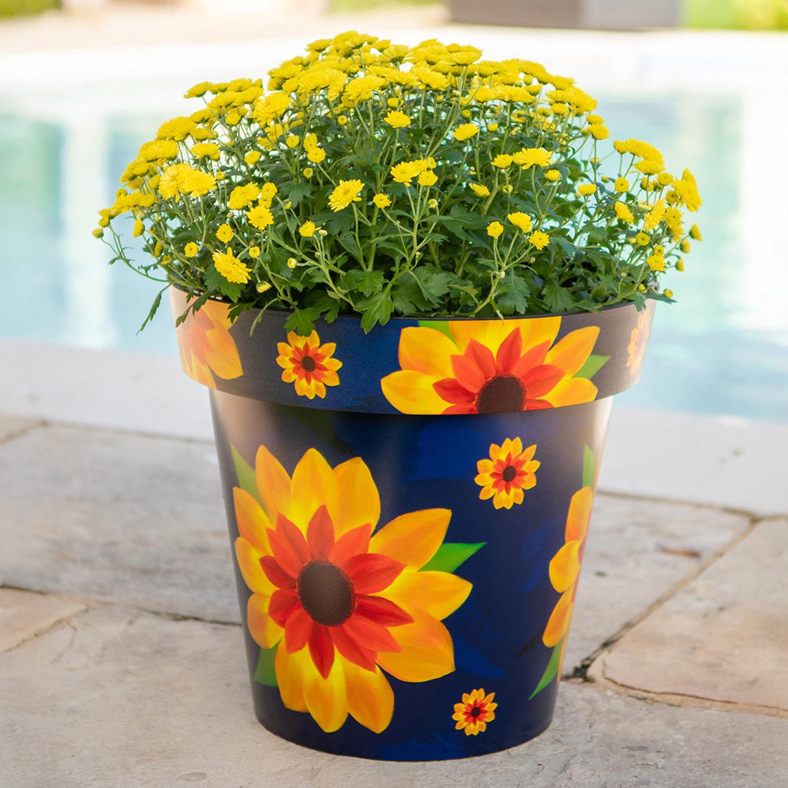 30cm Zest Pot - Sunflower main product photo