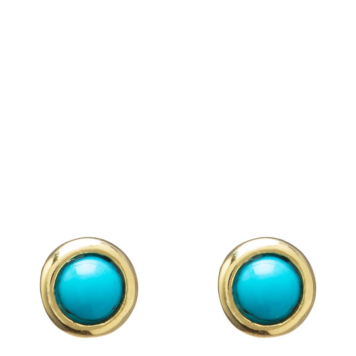 Black & Gold Round Earrings main product photo