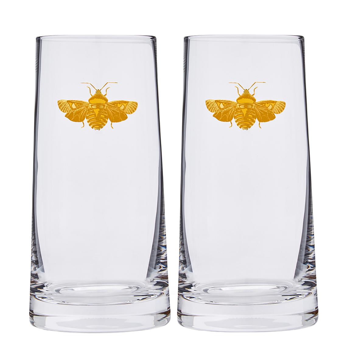 Set of 2 Highballs main product photo