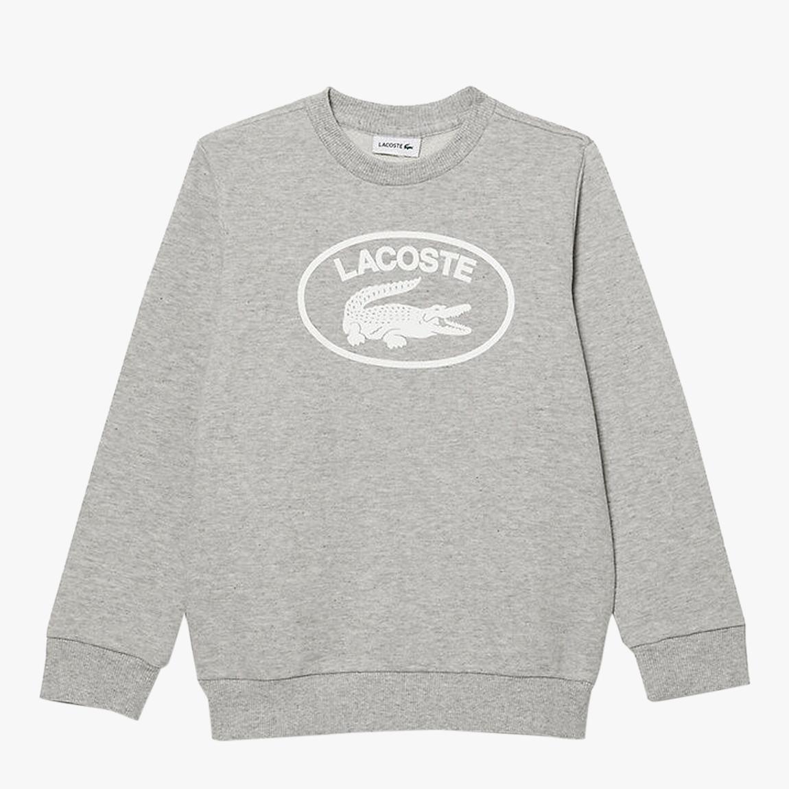 Teen Grey Large Logo Sweatshirt main product photo