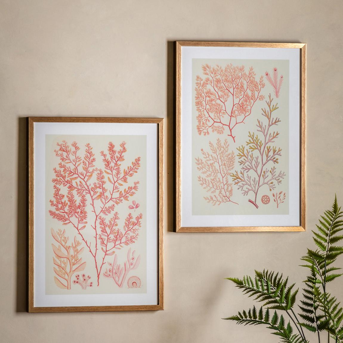 Coral Bounty 1& 11 70x50cm Set of 2 Framed Prints main product photo