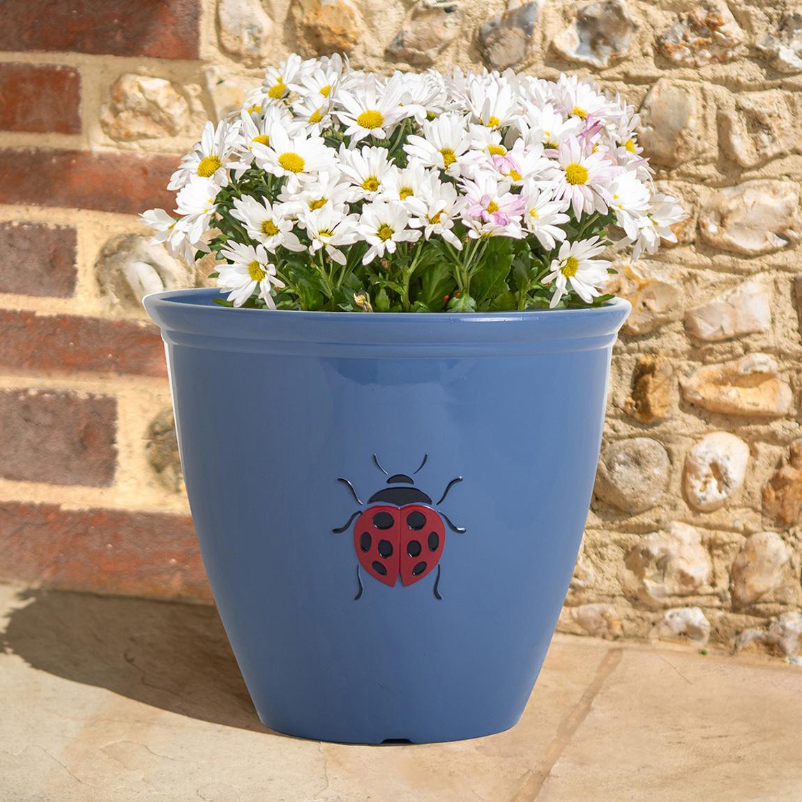38cm Ladybird Planter Blue main product photo