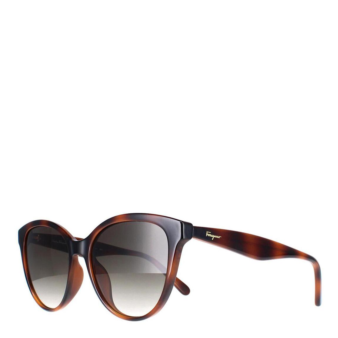 Women's Brown Salvatore Ferragamo Sunglasses 54mm main product photo