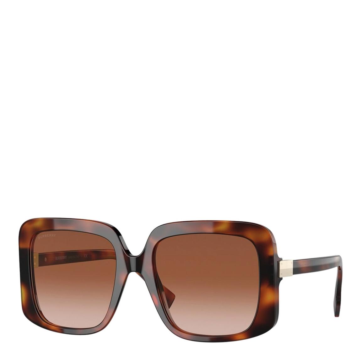 Women's Havana Brown Burberry Sunglasses 55mm main product photo