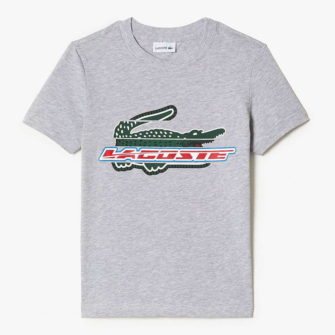 Teen Boy's Silver Printed Logo T-Shirt main product photo