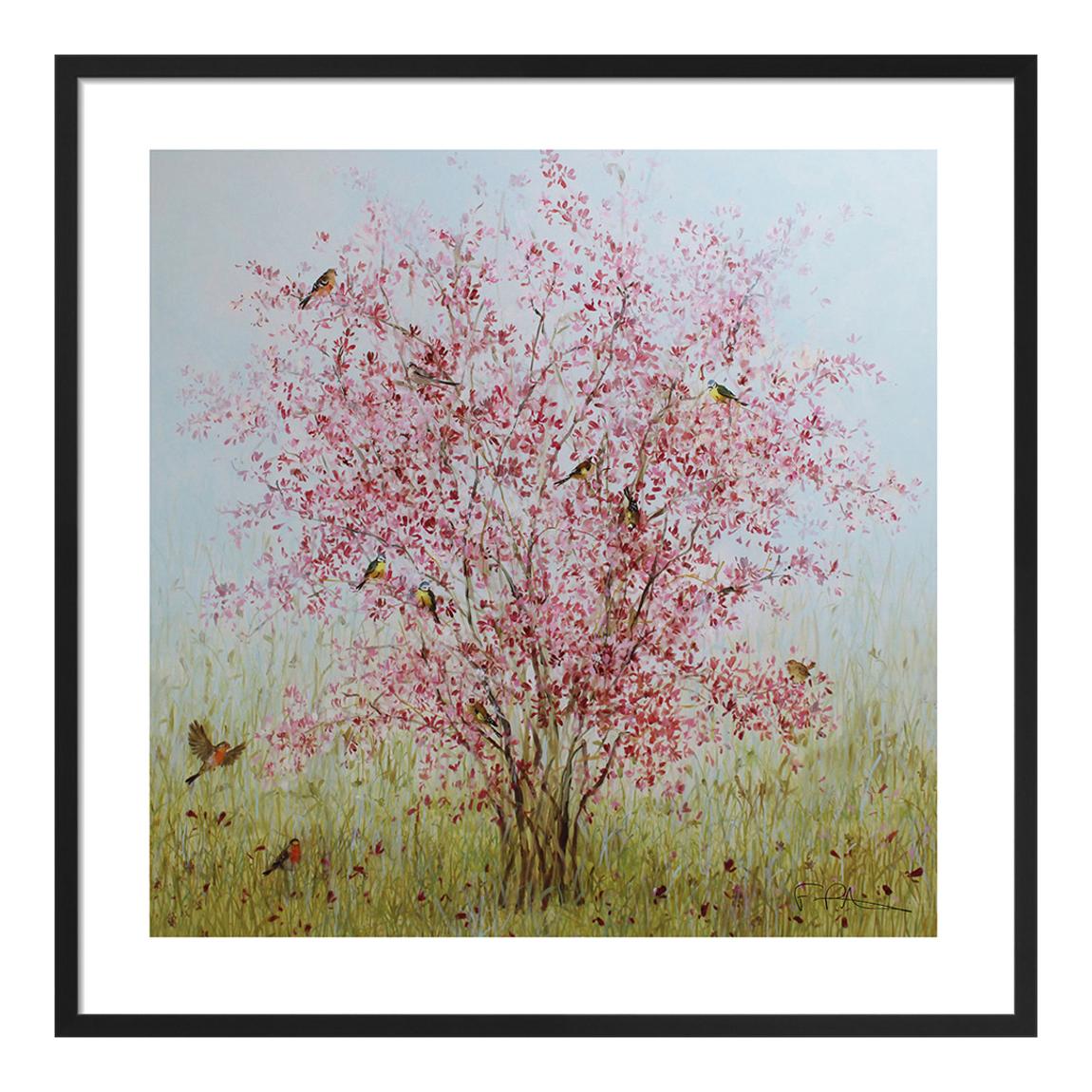 Early Blossom Framed Print, 60cm x 60cm main product photo