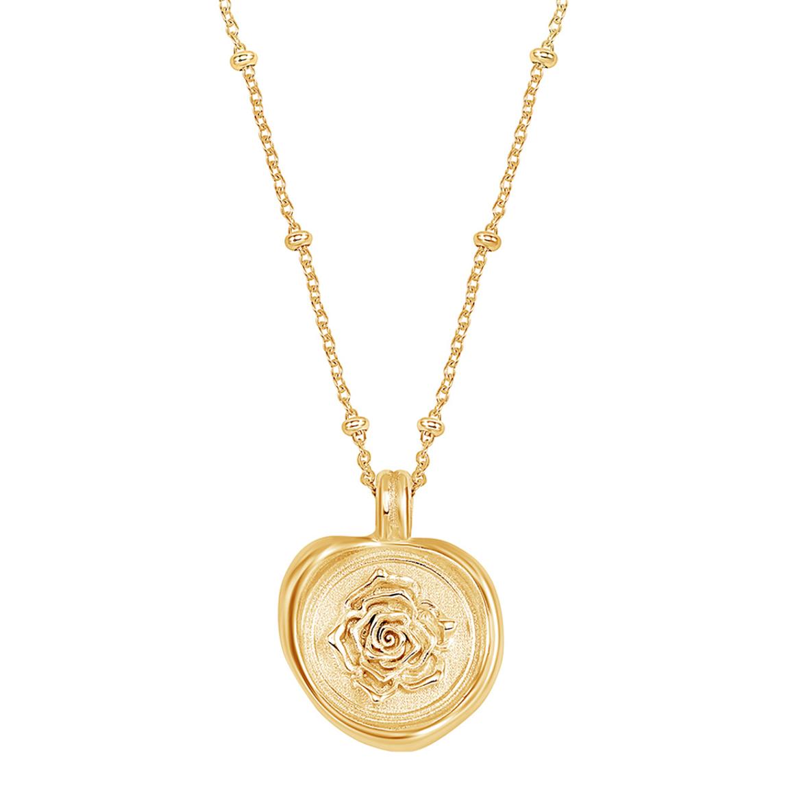 Silver Wild Rose Talisman Necklace main product photo
