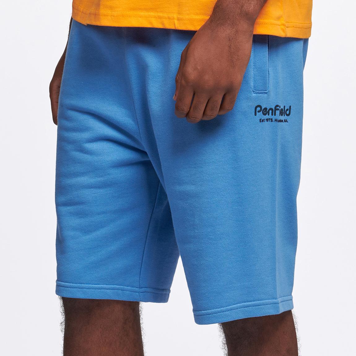 Blue Hudson Cotton Shorts main product photo