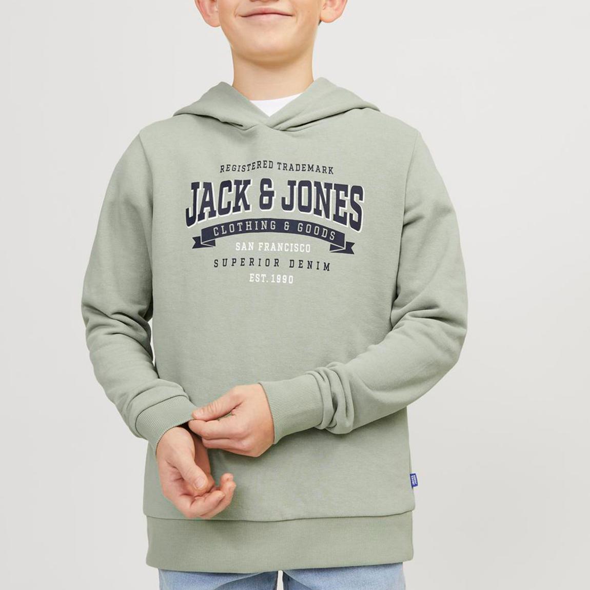 Desert Sage Cotton Blend Hoodie main product photo