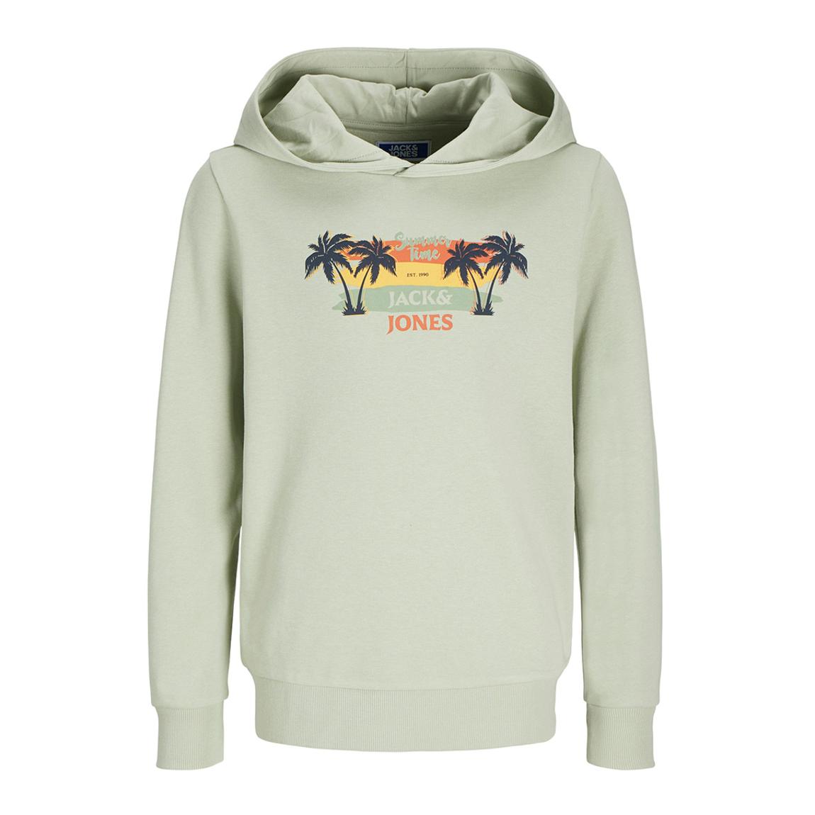 Desert Sage Cotton Blend Hoodie main product photo