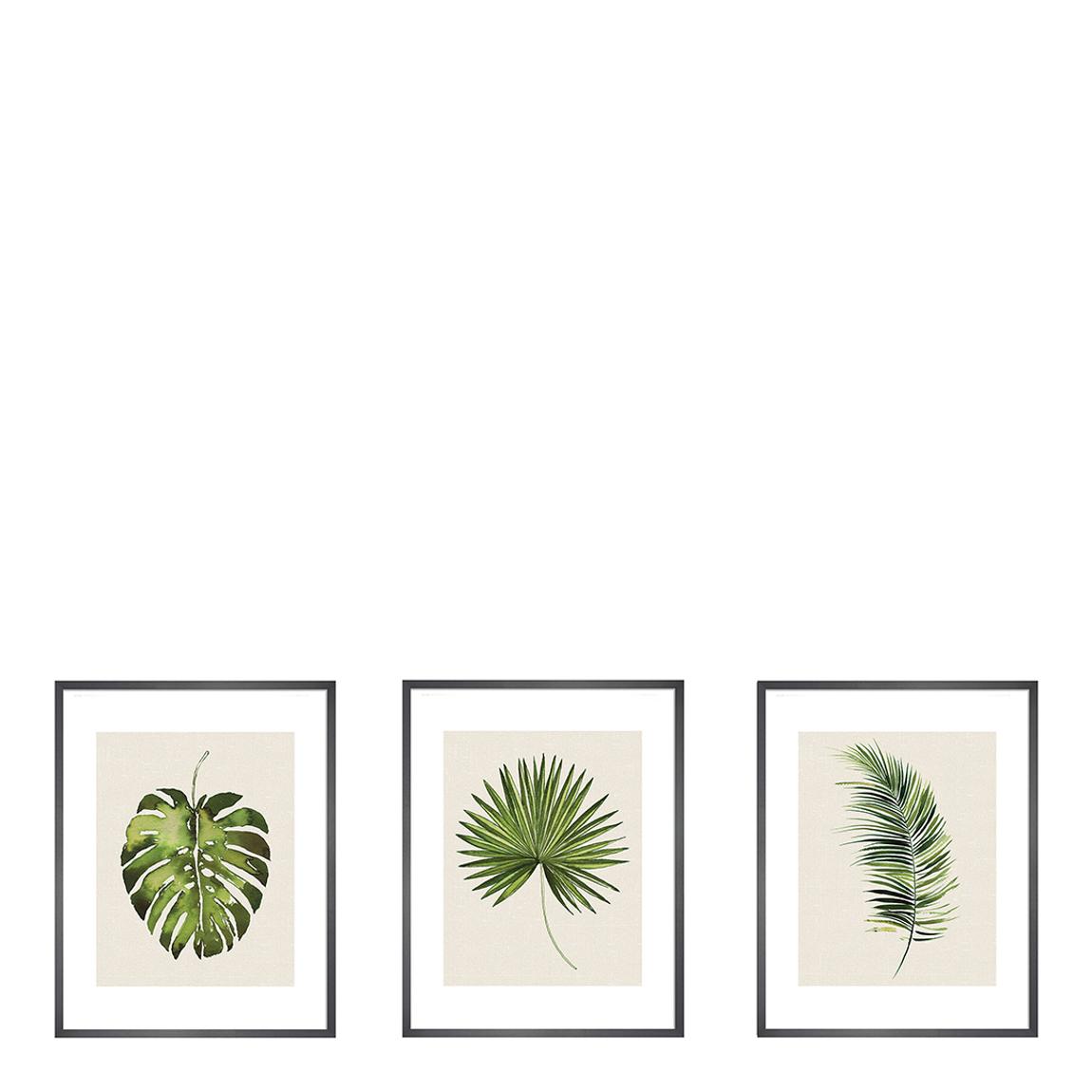 Tropical Leaves Set f 3 Print 50x40cm Framed Prints main product photo