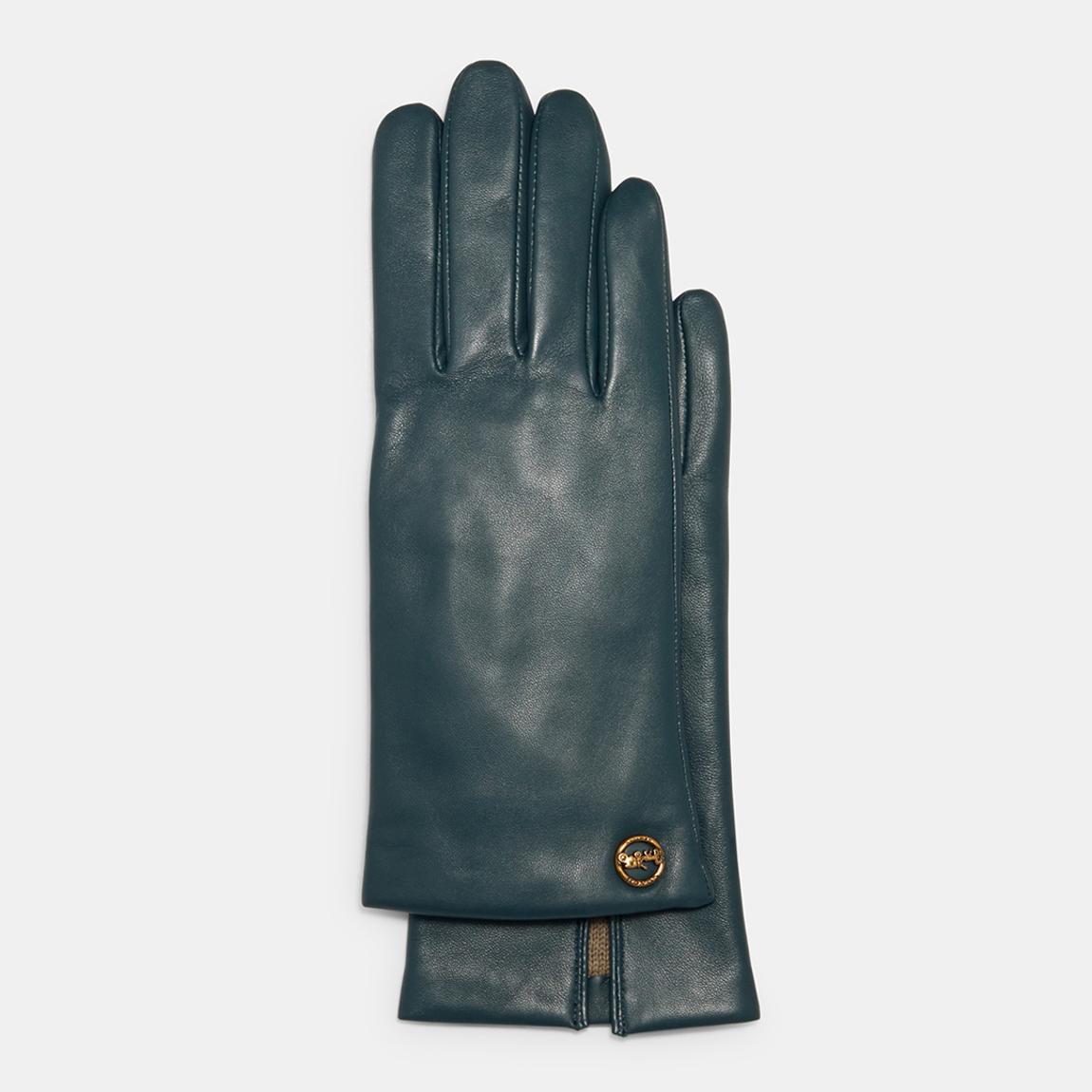 Teal Horse And Carriage Plaque Leather Tech Gloves main product photo