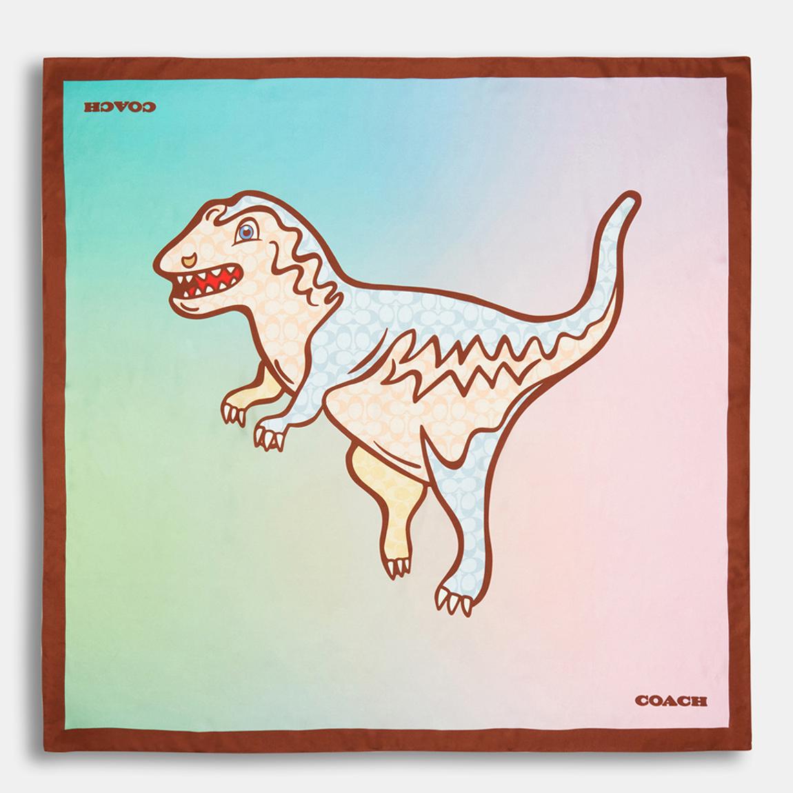Multi Ombre Signature C Rexy Printed Silk Square main product photo