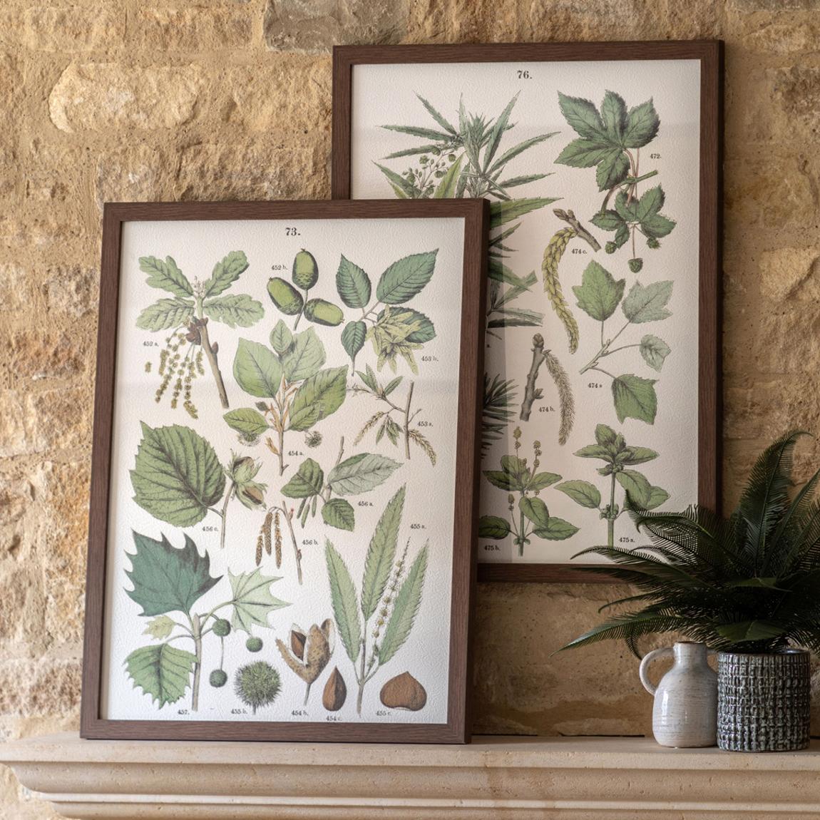 Set of 2 Foliage Study 60x80cm Framed Art main product photo