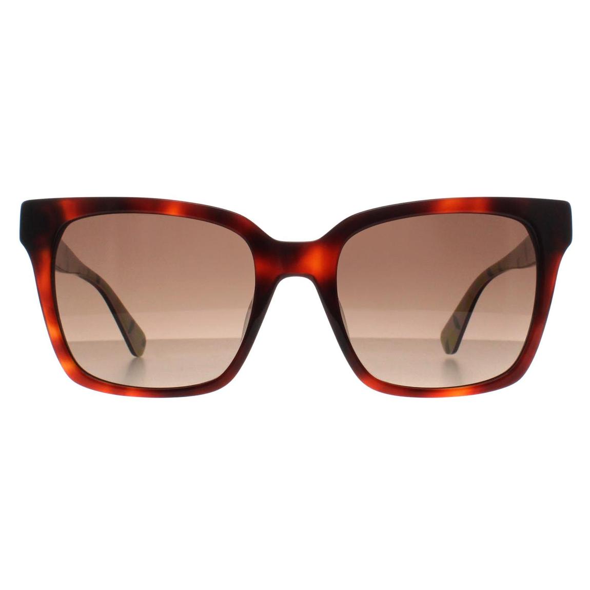 Women's Square Havana Sunglasses 55mm main product photo