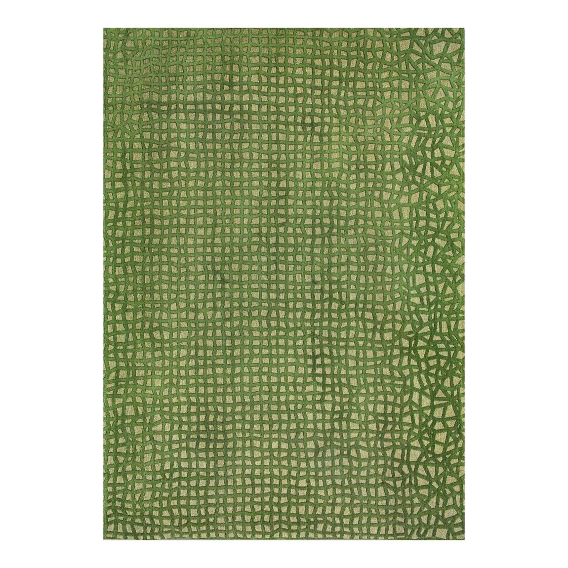Alta Green Trammel 80 x 150 cm Rug main product photo