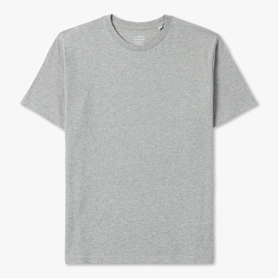 Grey Classic Organic T-Shirt main product photo
