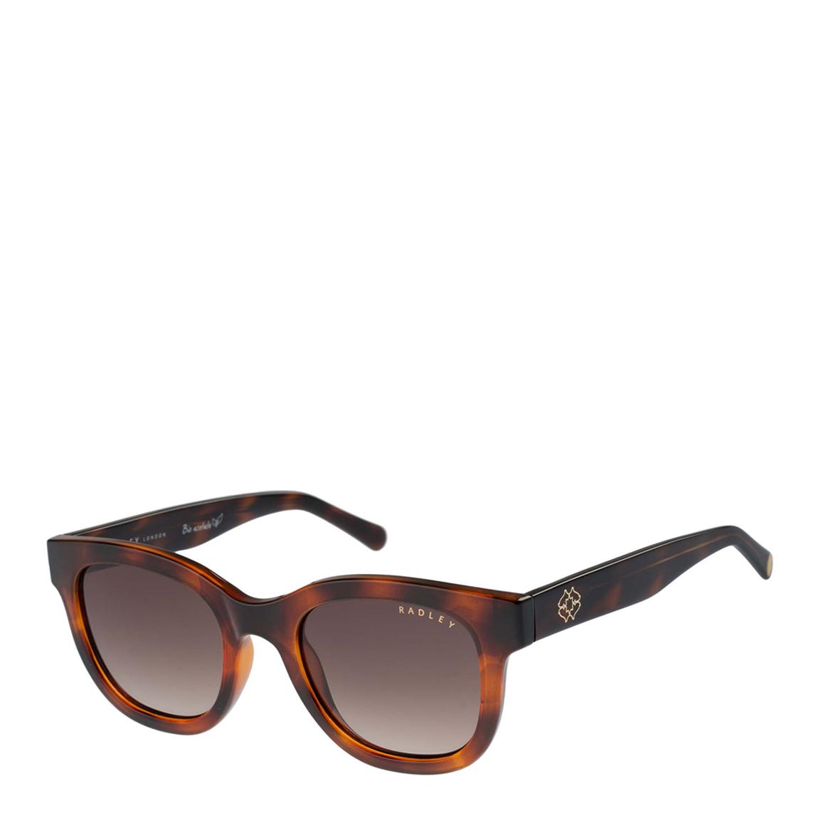 Brown Classic Tortoise Frame Sunglasses 49mm main product photo