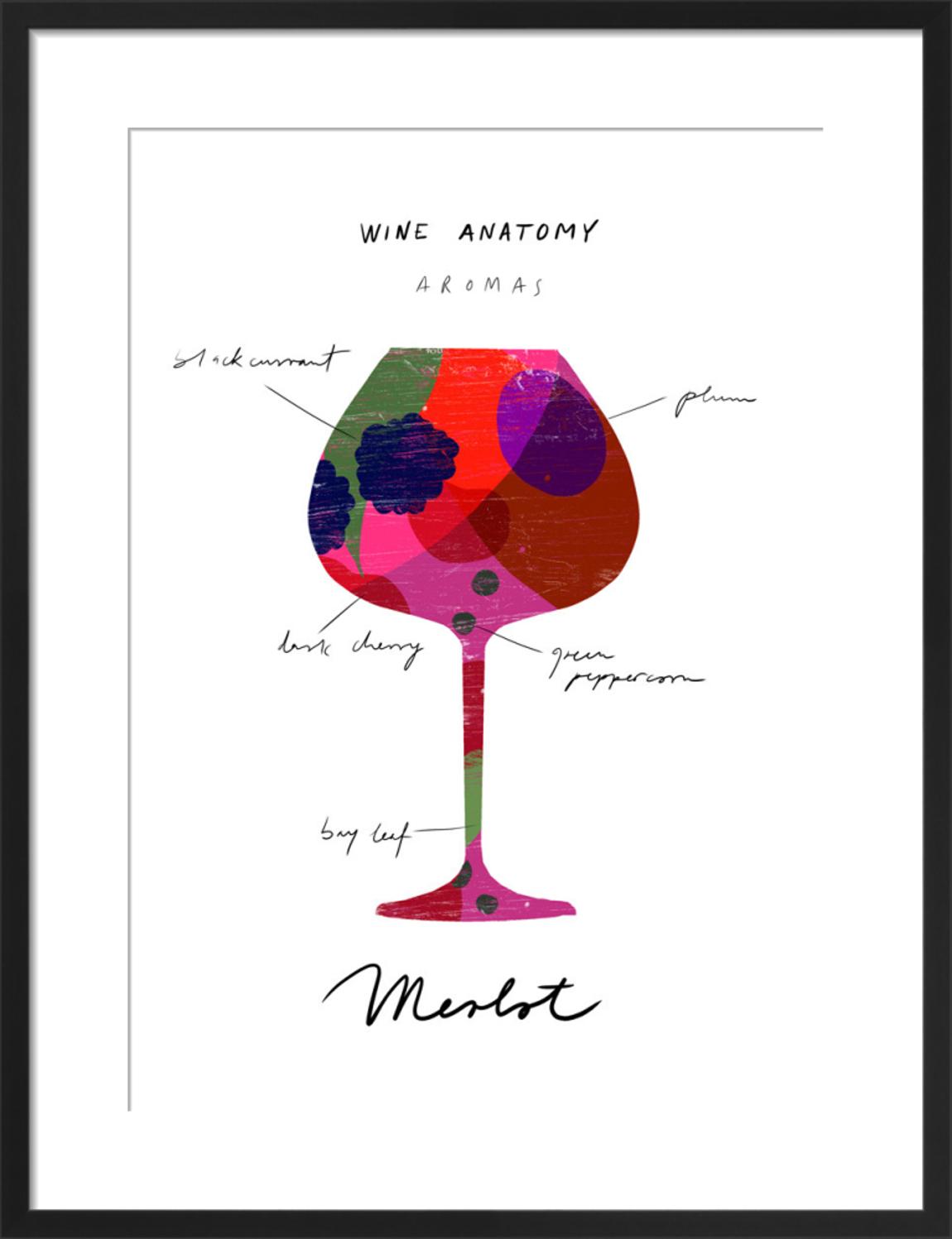 Wine Anatomy: Merlot by Ana Zaja Petrak 55x40cm main product photo