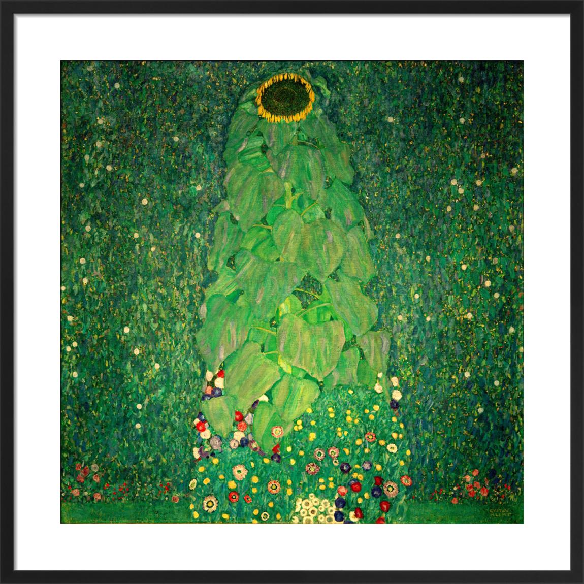 Sunflower, 1907 Framed Art Print by Gustav Klimt 33x33cm main product photo