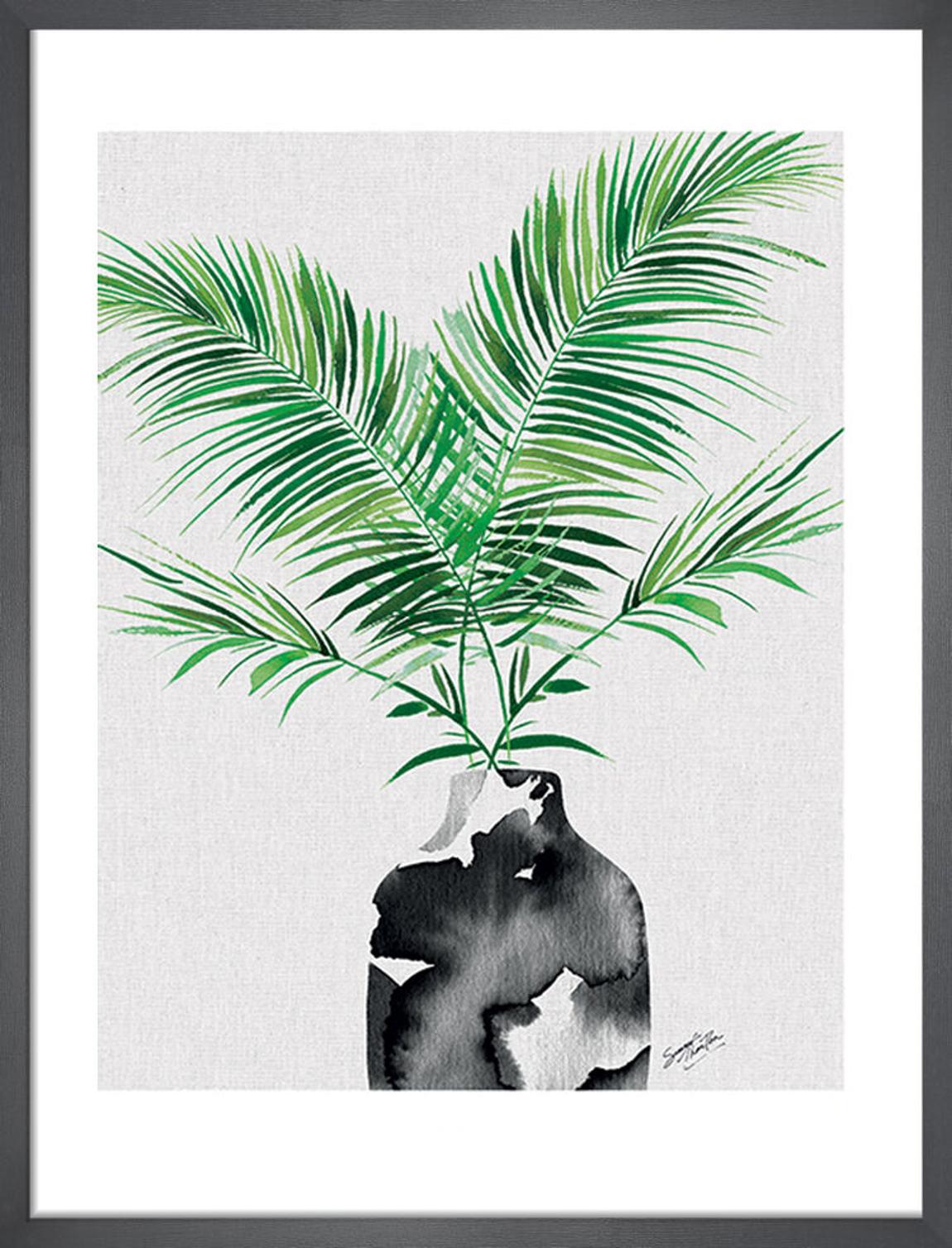 Majesty Palm Plant Framed Art Print by Summer Thornton 53x43cm main product photo