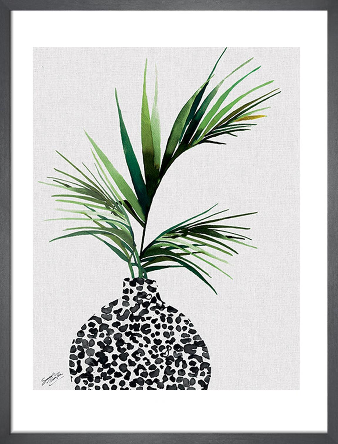 Areca Palm Plant Framed Art Print by Summer Thornton 53x43cm main product photo
