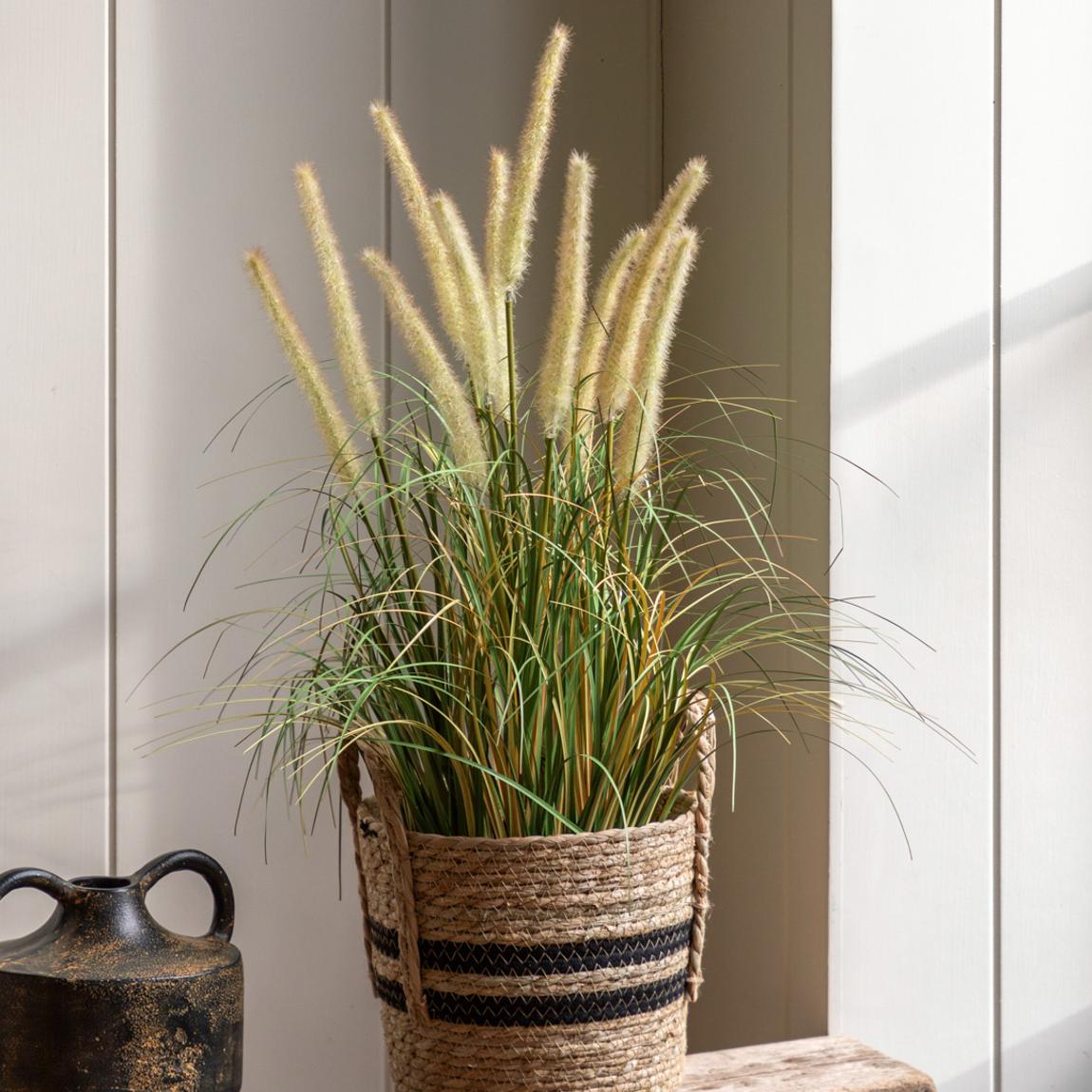 Potted Grass with Cattail Seed Heads main product photo