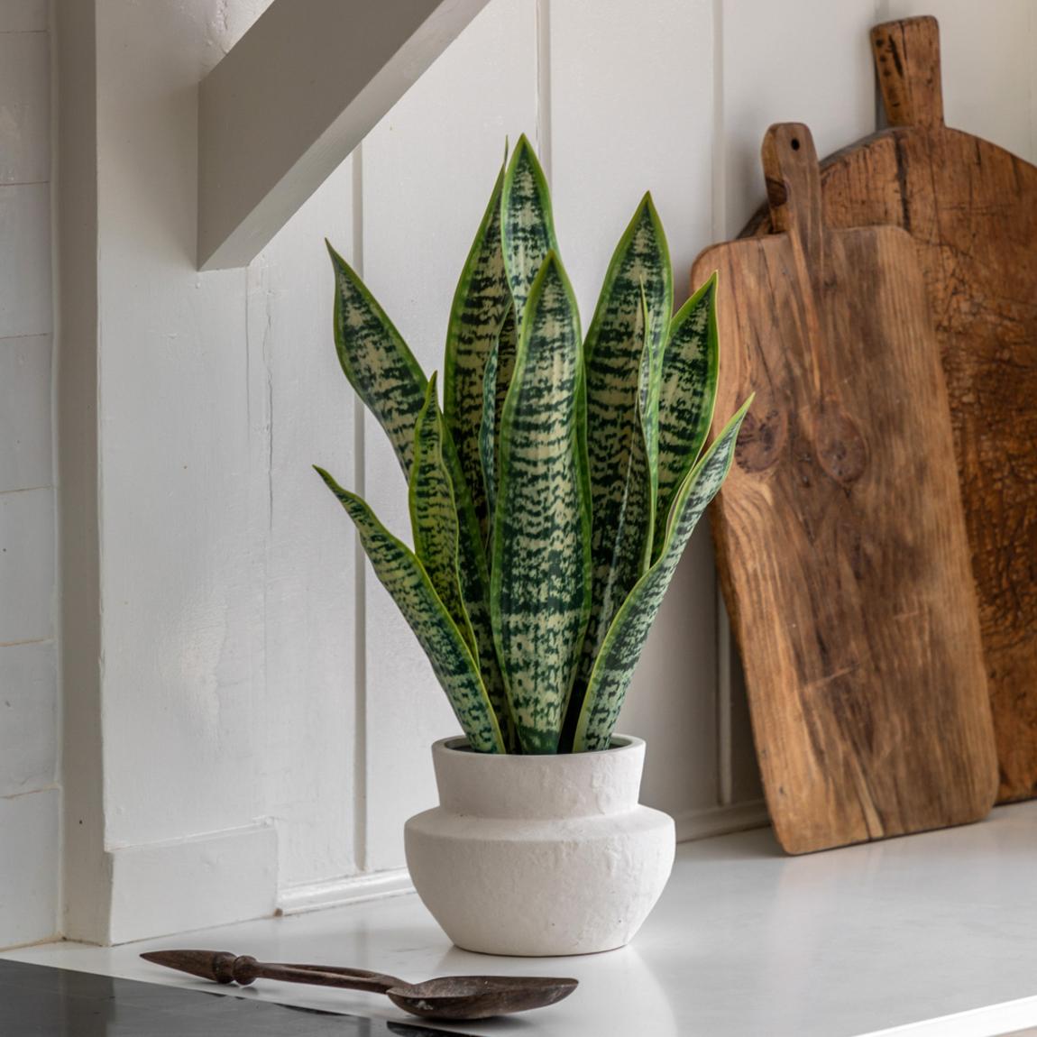 Faux Snake Plant in Ceramic Pot main product photo