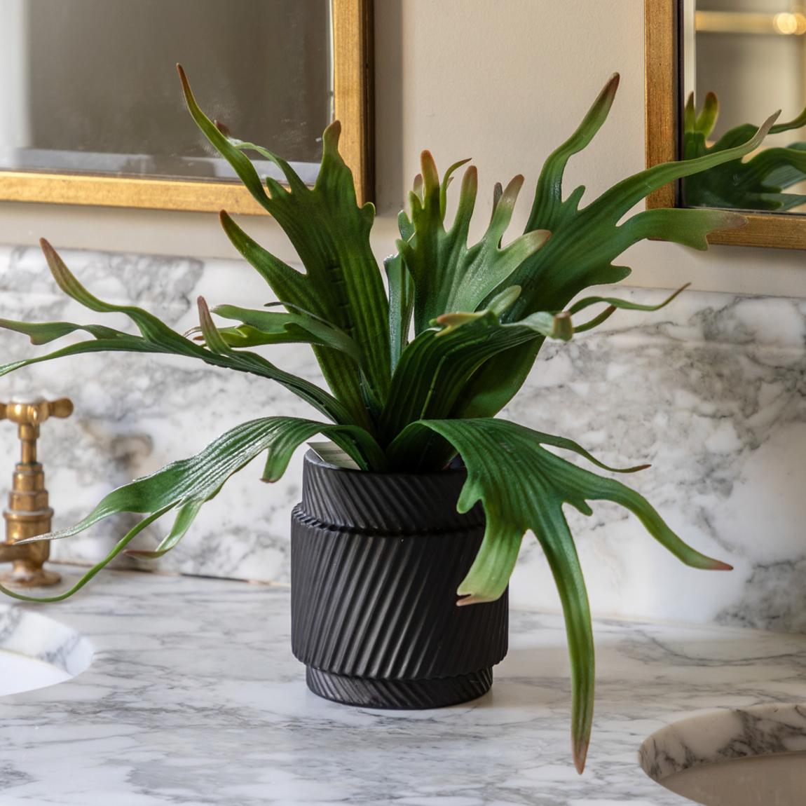 Faux Playycerium in Ceramic Pot main product photo