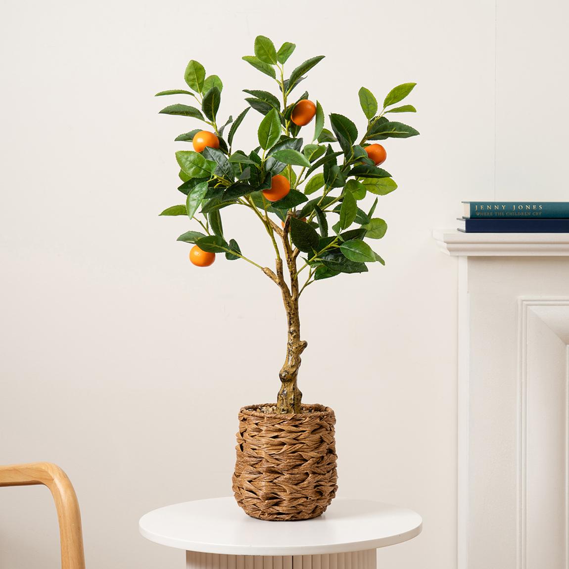 Orange Tree in Woven Basket, 76cm main product photo