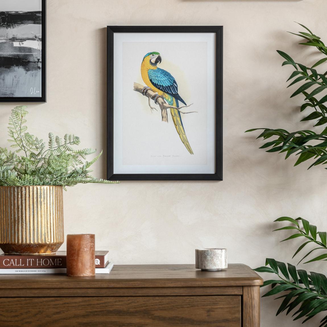 Parrot II 40x30cm Framed Print main product photo