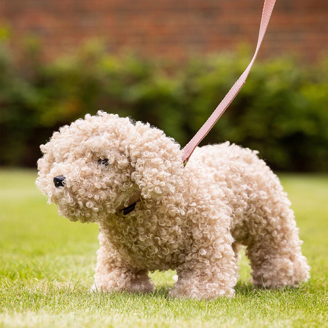 Toy Puppy Chester One Size main product photo