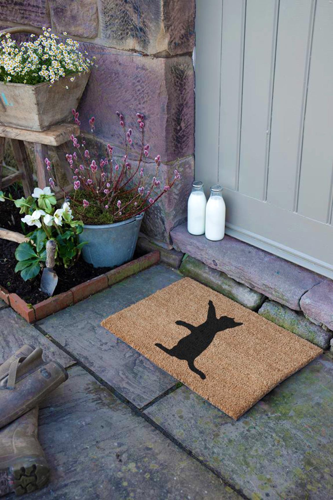 Cat Doormat 60x40cm main product photo