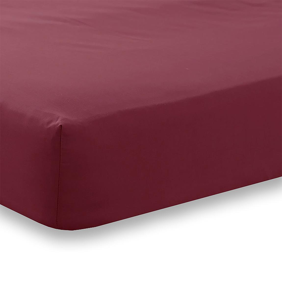 Charlotte Thomas Poetry Plain Single Fitted Sheet - Burgundy main product photo