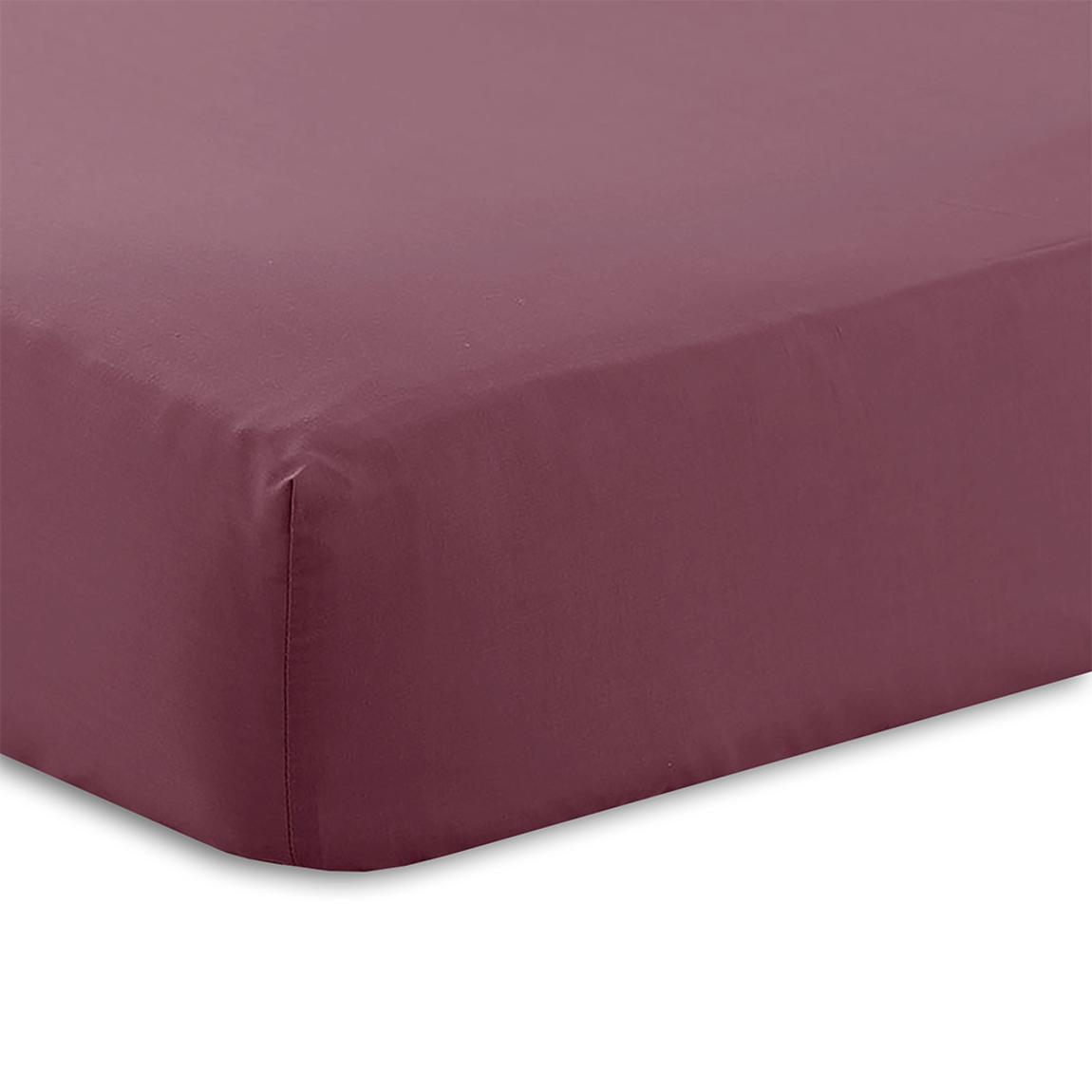 Charlotte Thomas Poetry Plain Single Fitted Sheet - Aubergine main product photo