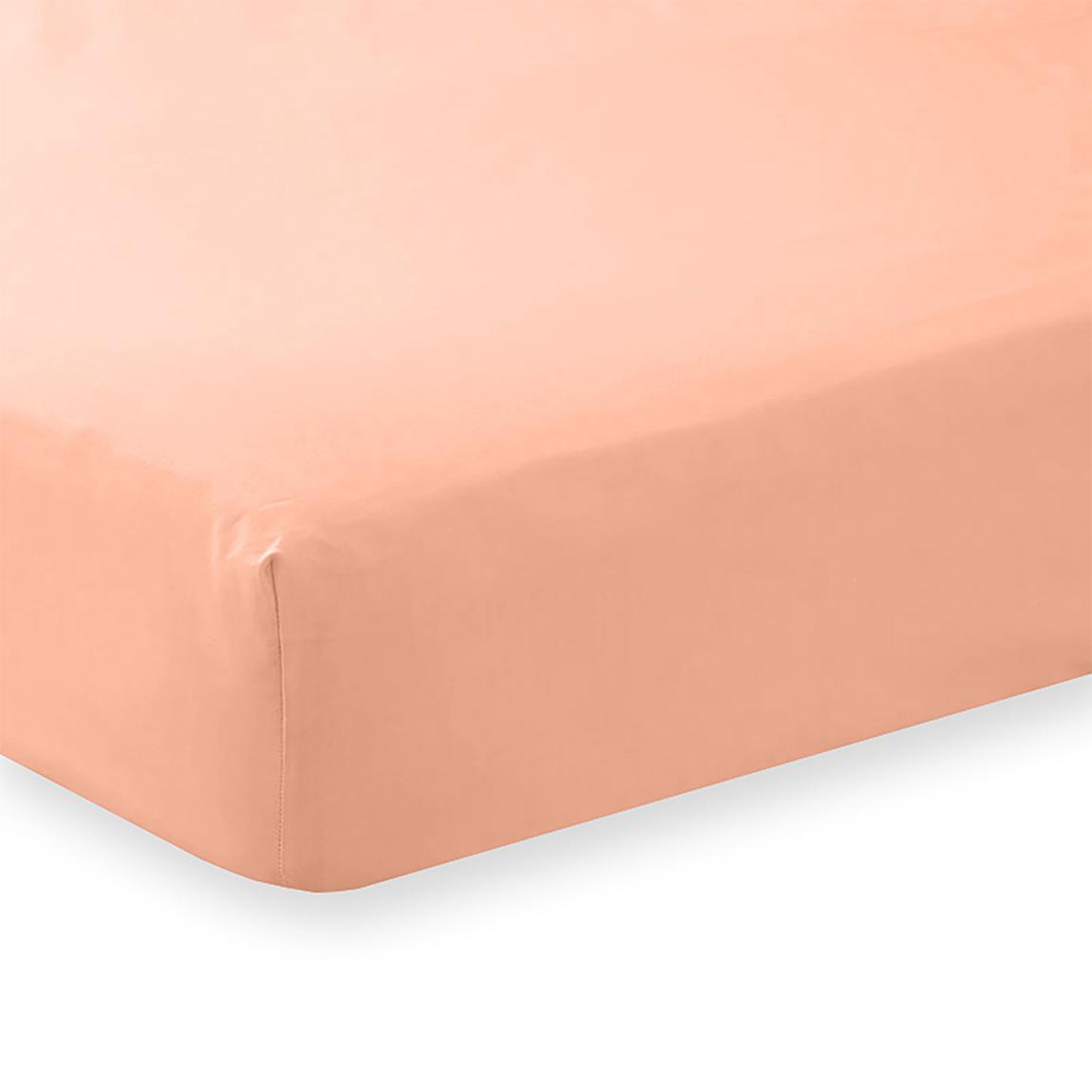 Charlotte Thomas Poetry Plain Single Fitted Sheet - Peach main product photo