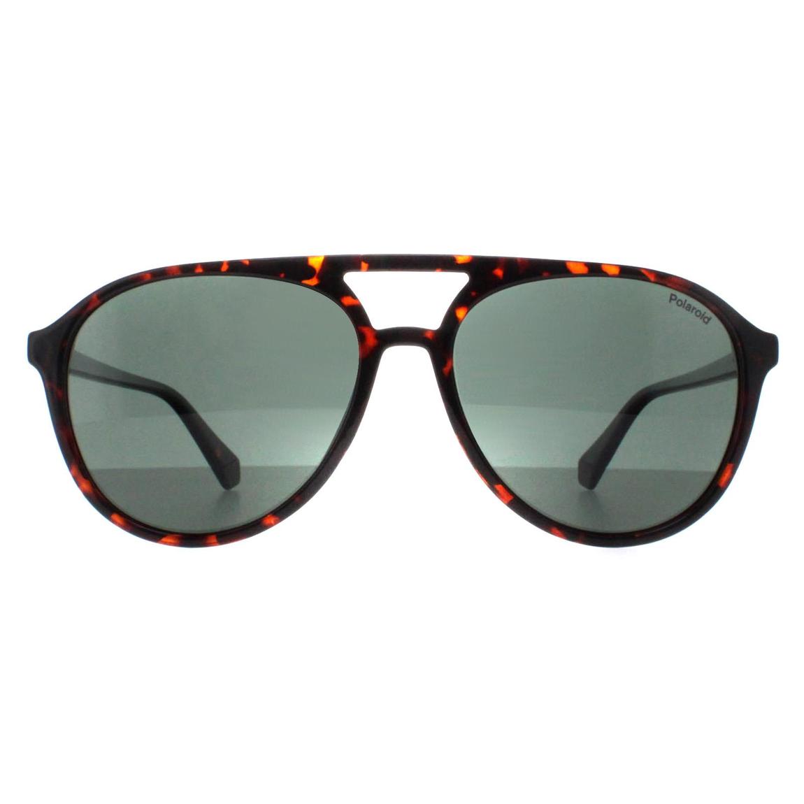 Brown Tortoise Shell Polaroid Sunglasses 56mm main product photo