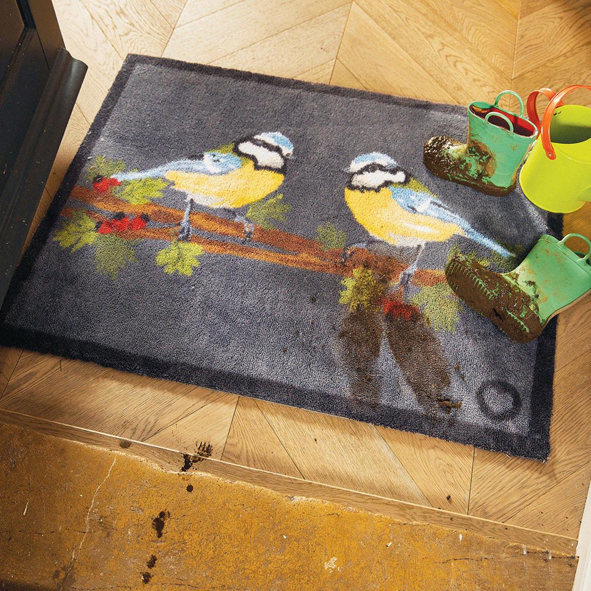 Blue Tit, Mat main product photo