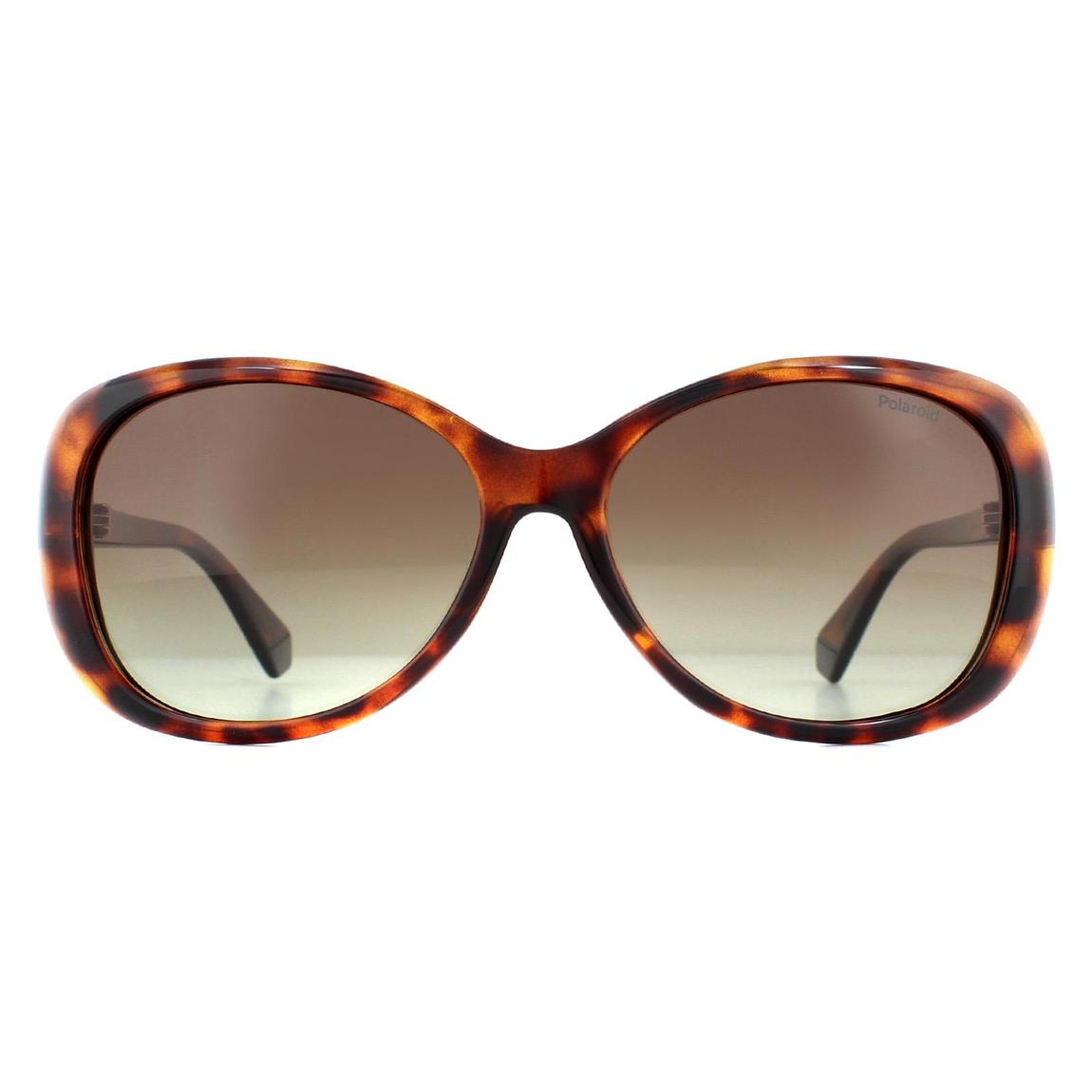 Women's 4097/Rectangular Havana/Brown Shaded Polarized 58 mm main product photo