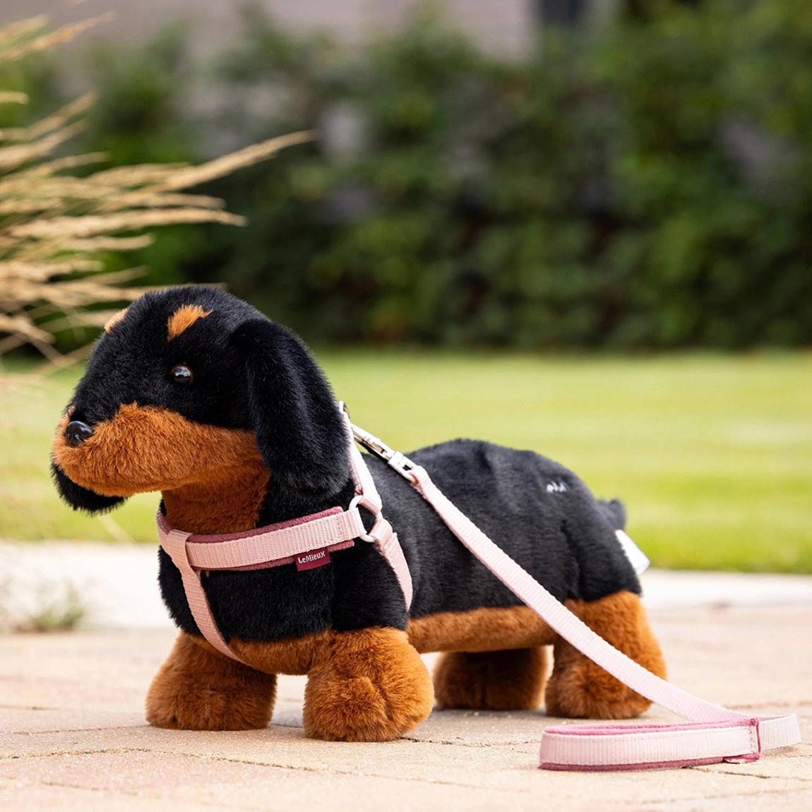 Toy Puppy Sally One Size main product photo